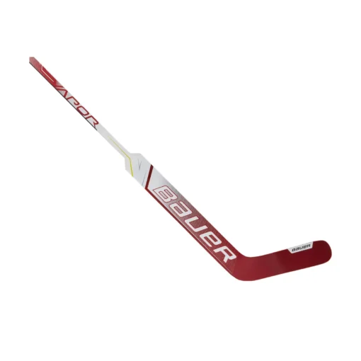 S21 VAPOR 3X