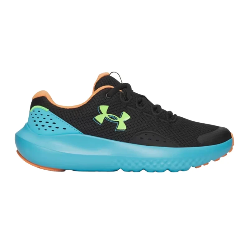 SURGE 4